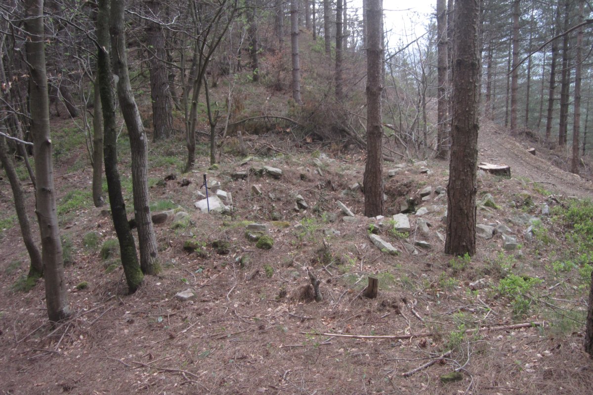 Túmulo Lizarmendi  (Marzo 2021)