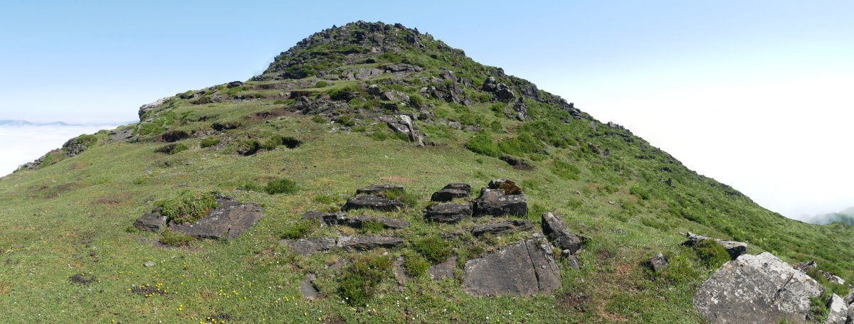 Munazorrotz tontorra