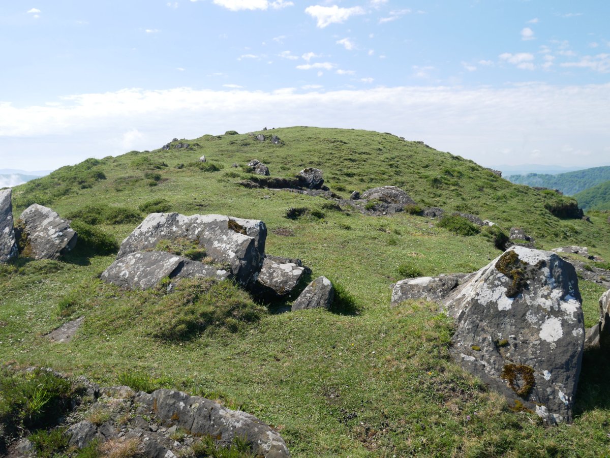 Munazorrotz tontorra