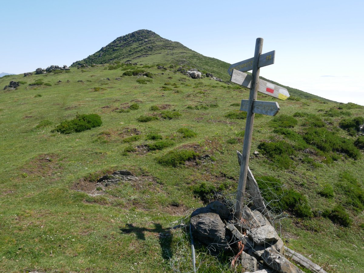 Munazorrotz Soratxipi aldeko lepotik
