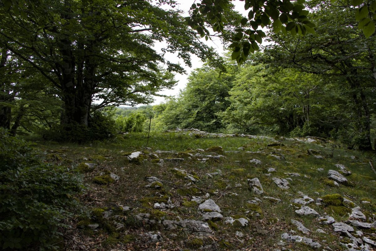 Senda de Arroniz eraztun tumulua