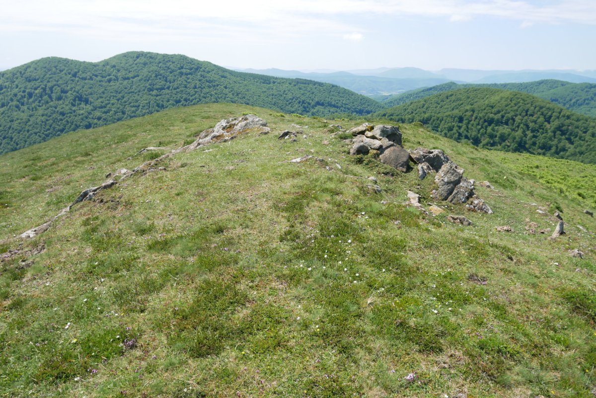 Erroberriko Gaina, tontorra