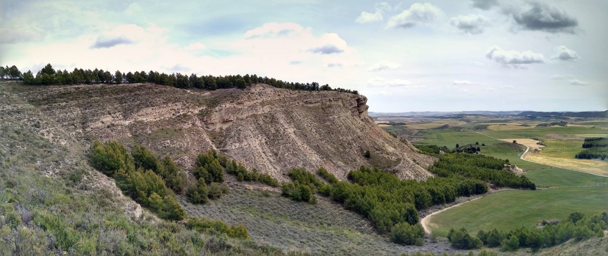 Recuencoko malkarrak