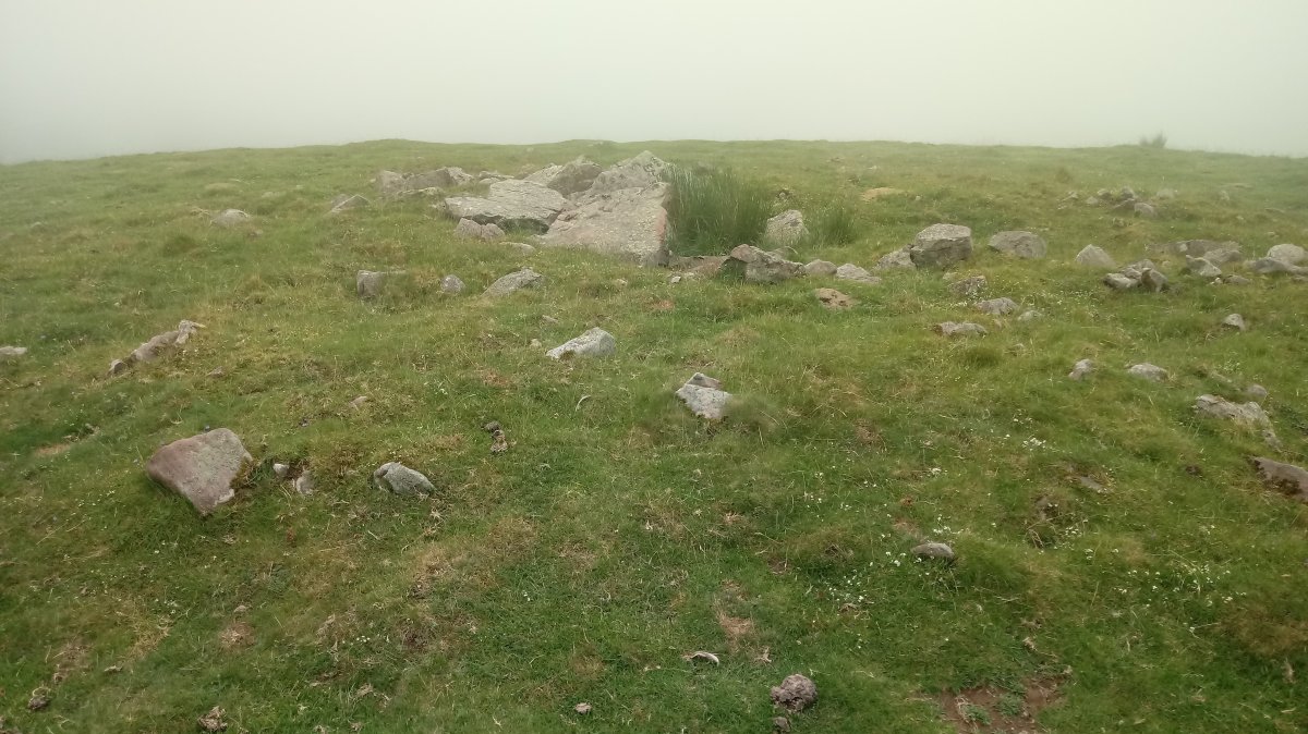 Luurzu I Erdi trikuharria