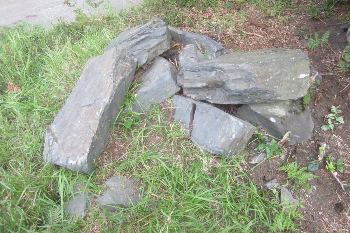 Cista Arbotante II  (Julio 2021)