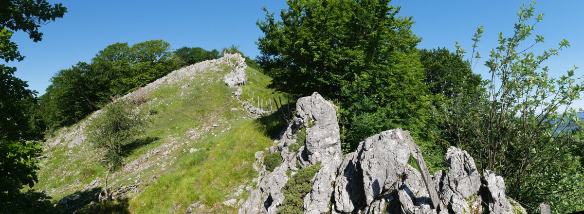 Ekialdeko bizkarreko igoerako pasartea