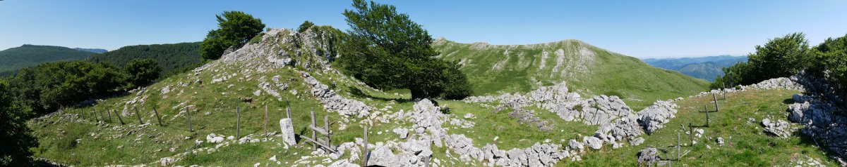 Arriolatz tontorra, IEtik