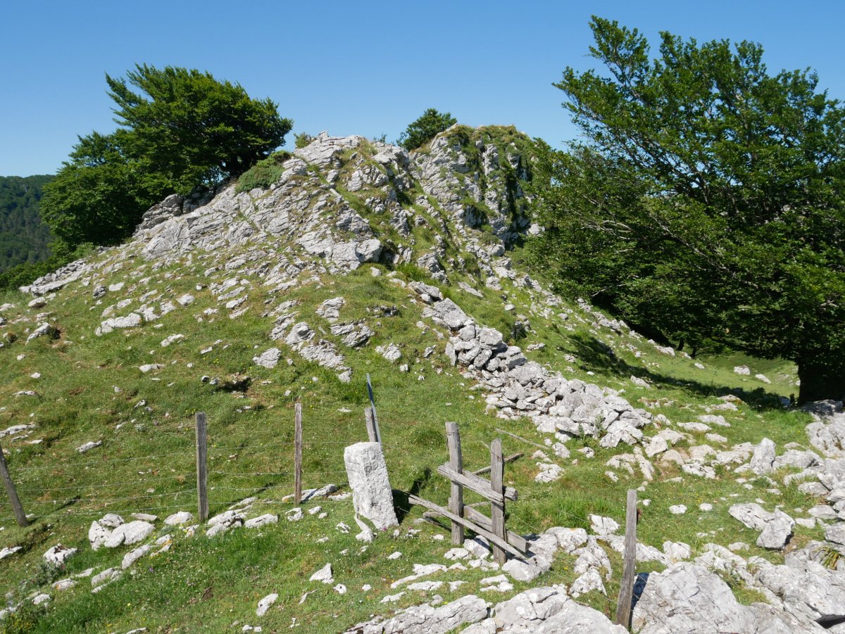 Arriolatz tontorra, IEtik