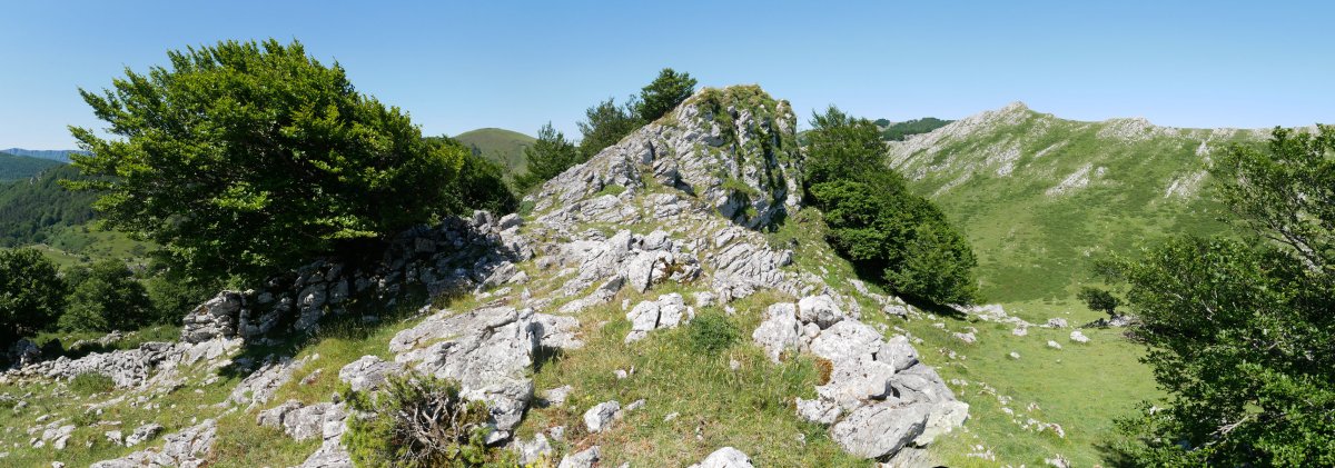 Arriolatz tontorra, IEtik