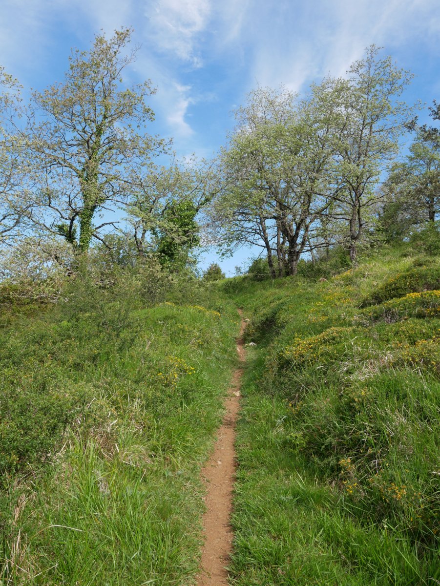 GR-9 bidea Aldatzetik gora