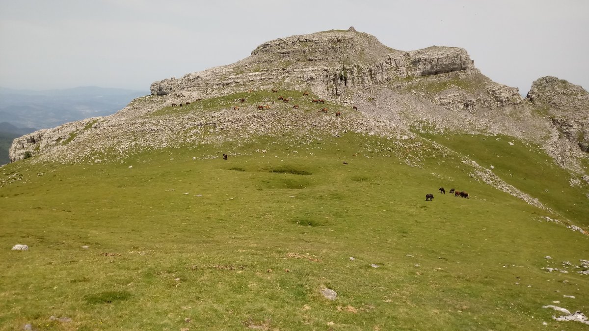 Aldamin (1376m) lepotik