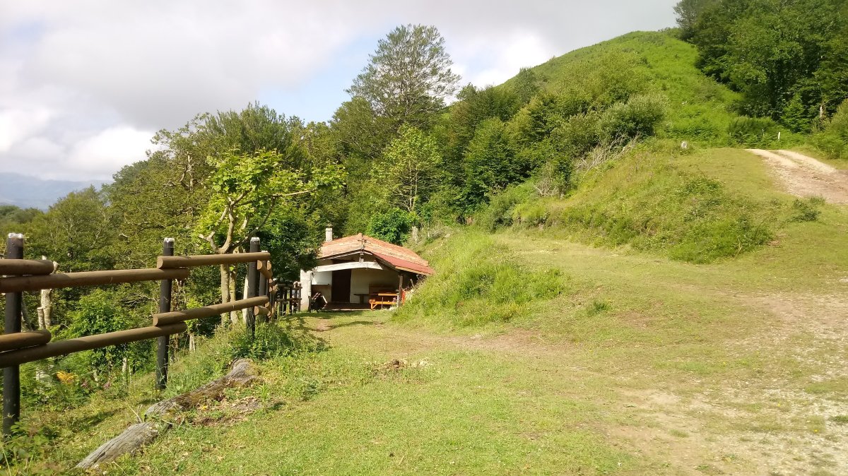 Otsomehaka lepoko borda