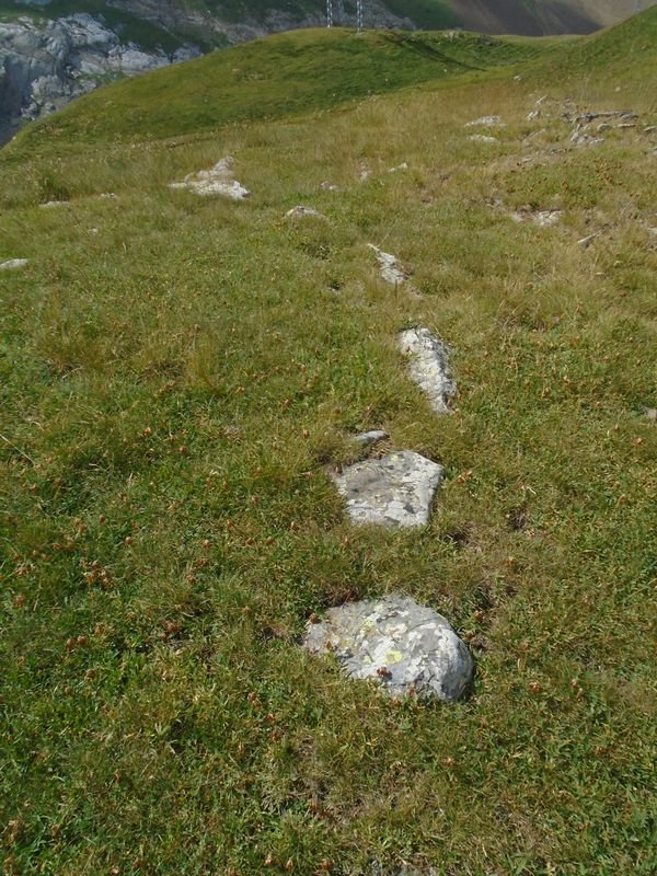 planas de lapazosa 1