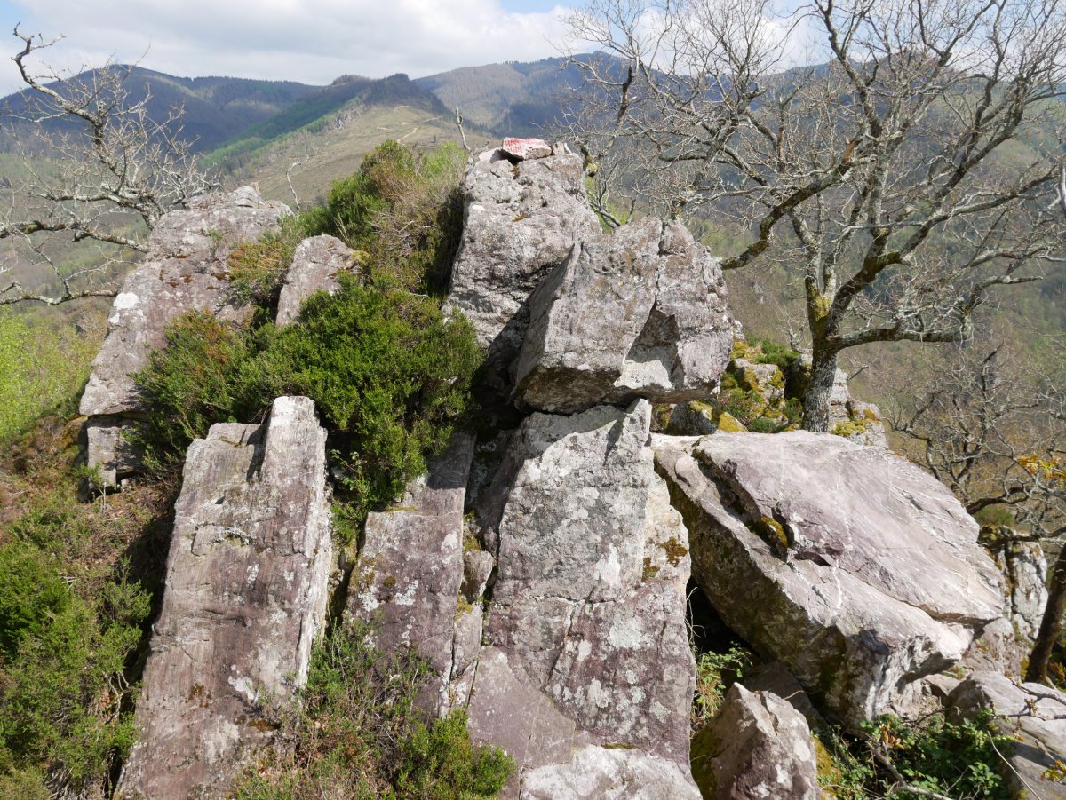 Arrisoraioko Harkaitza: tontorra