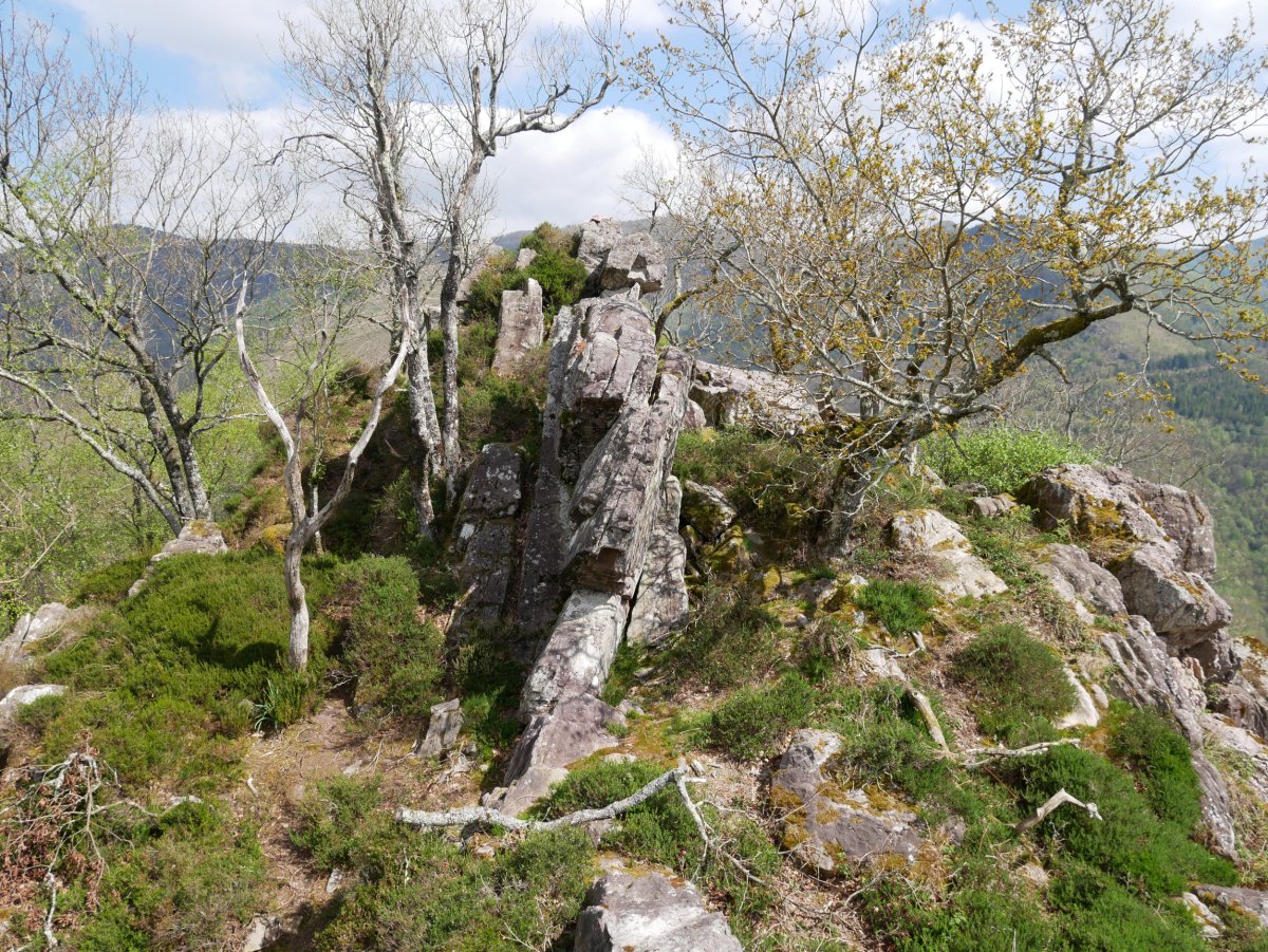 Arrisoraioko Harkaitza: tontorra