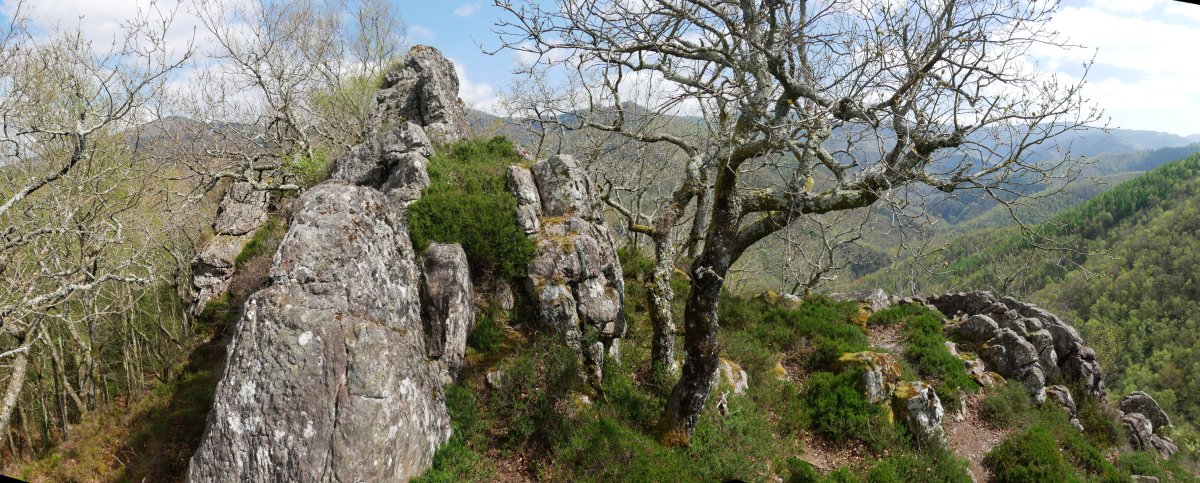 Beste harkaitz nabarmen bat gandorrean