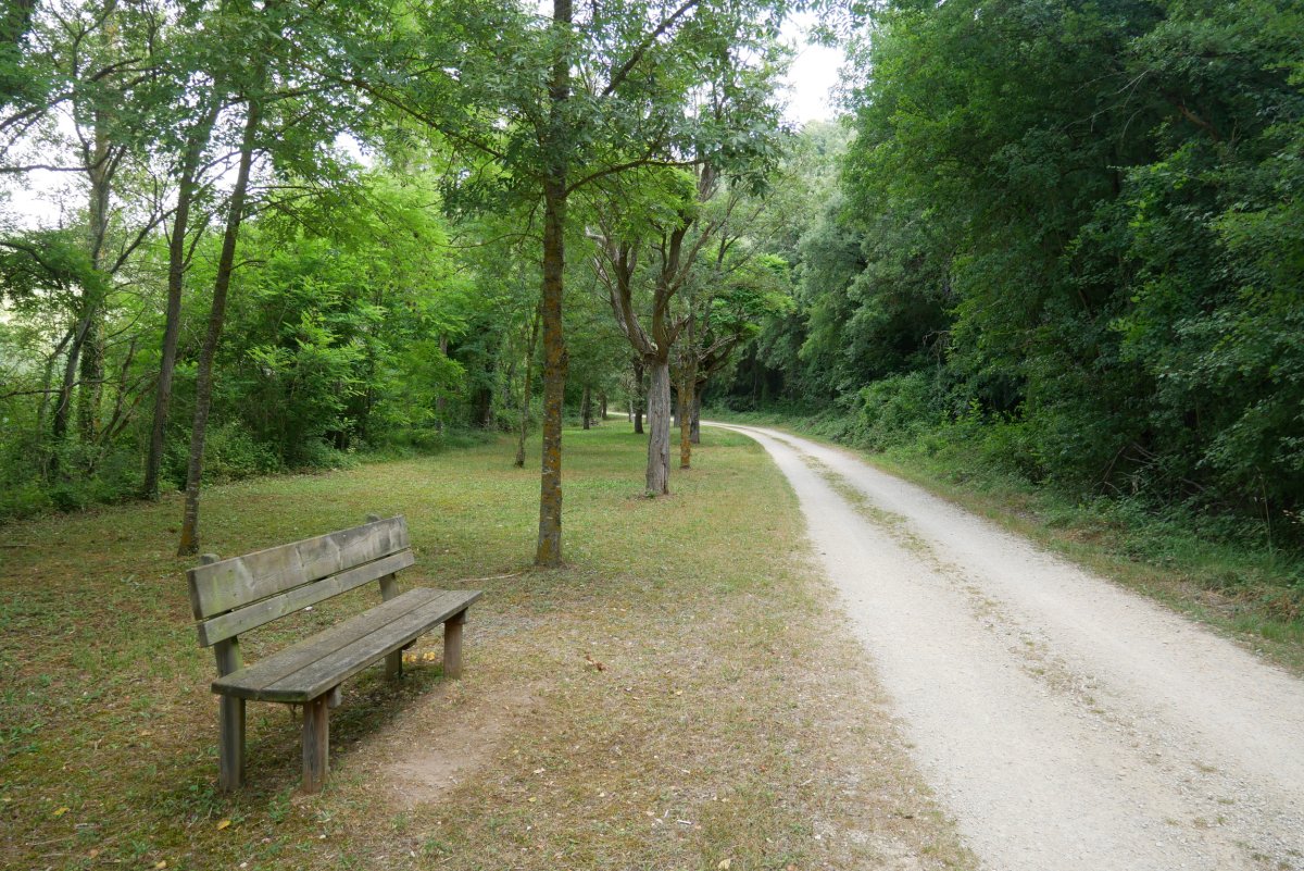 Vasco-Navarro trenbidearen bide-gorria Maeztu inguruan