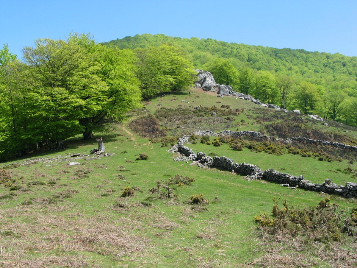 Basagar aldetik gora, Arlegiko kaskoaren inguruan