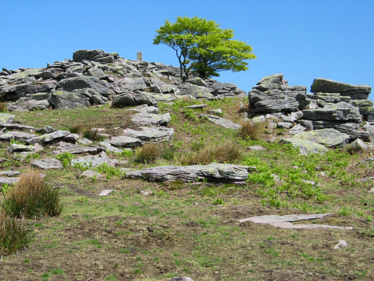 Mko bizkarra: 113. mugarriaren ingurua