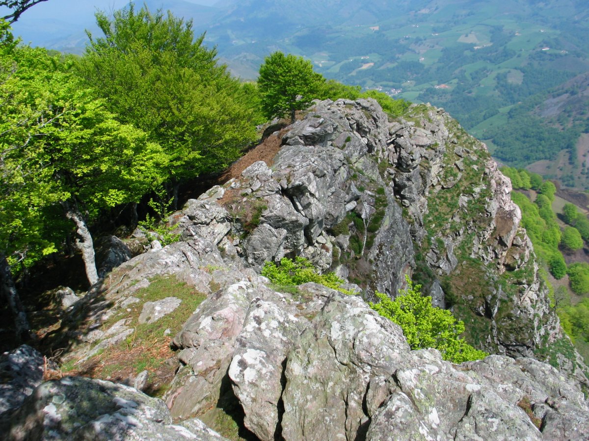 Ekialdeko gandorra tontorraren inguruan