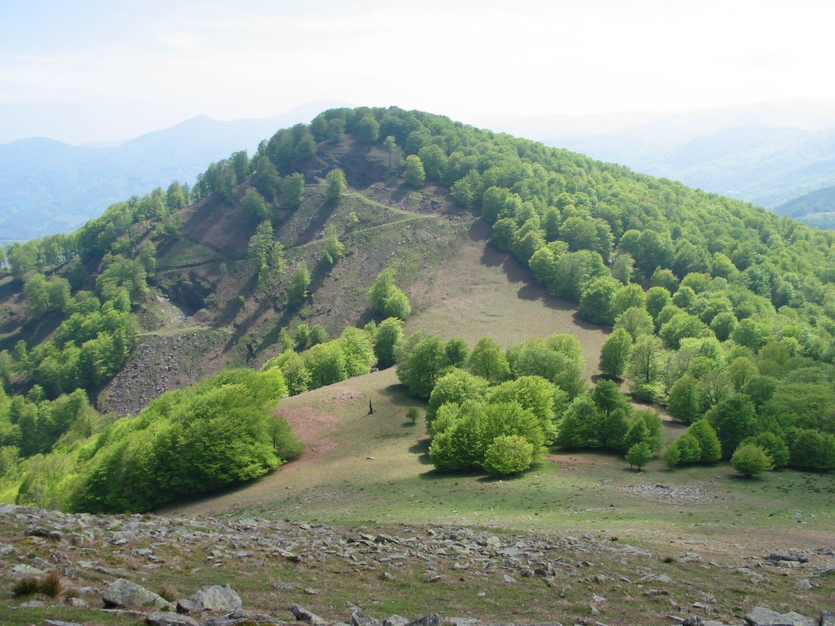 Urruxka, aldameneko gaina