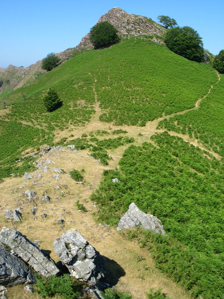Antziagako lepoa eta Tuturru