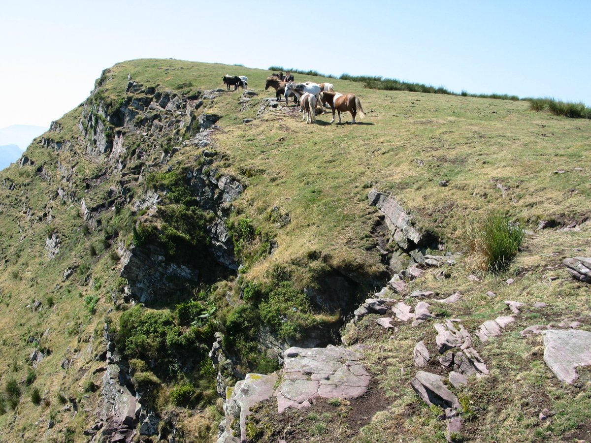 Iparraldeko bizkarra