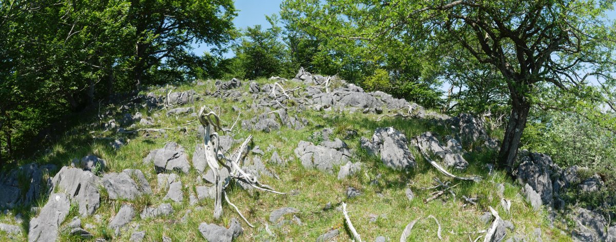 Intsusako Harmala tontorra