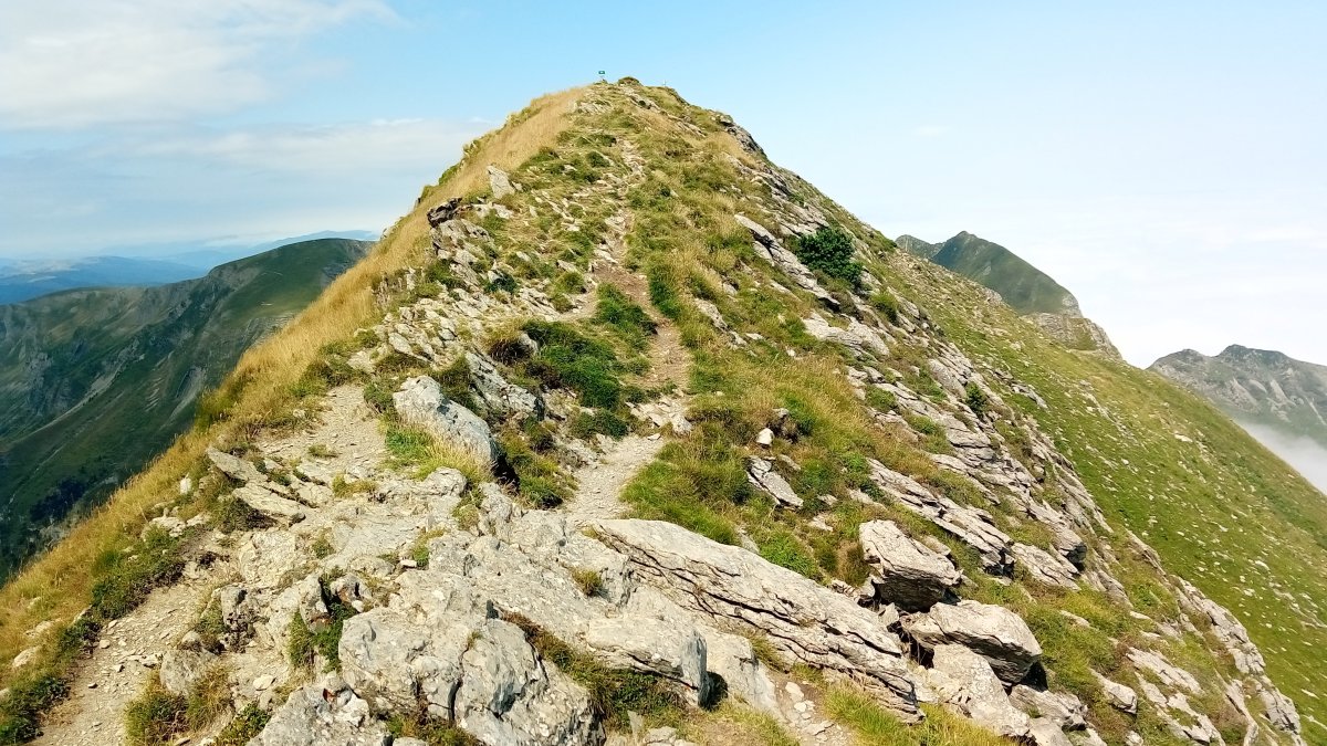 Lakartxela (1982m) tontorreko gandorra