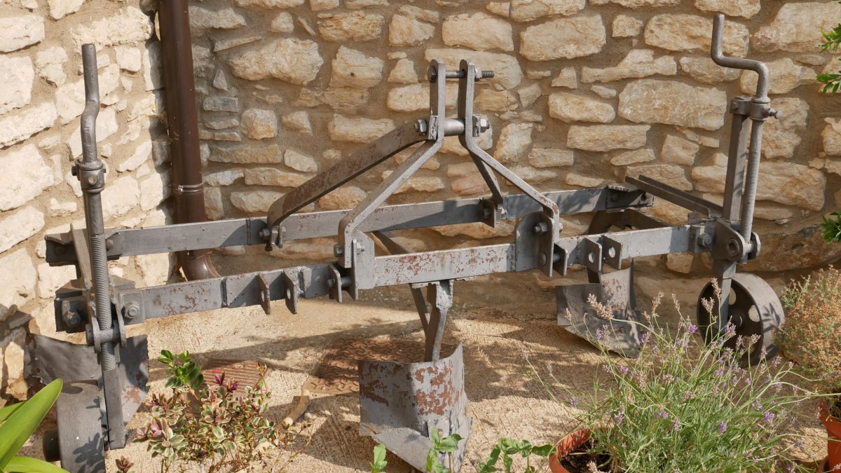 Goldea, Muniain Gesalatz