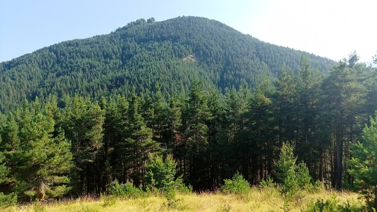 Burgi (1530m) Maisterra Punta aldetik