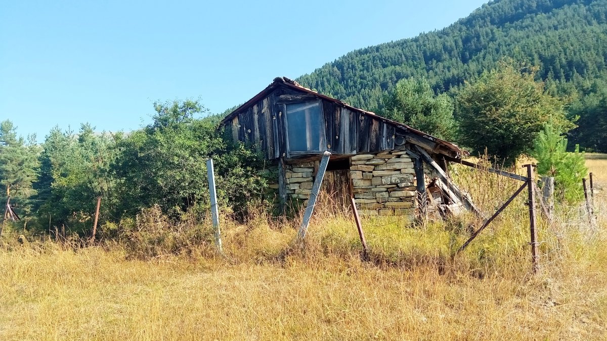 Ofishal borda zaharra Sarastoi lepoan