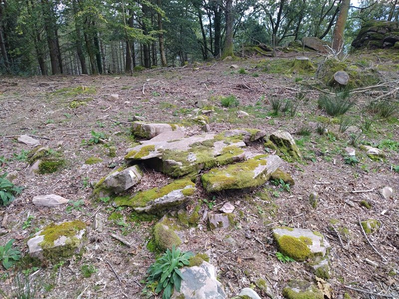 Bistarri Trikuharria