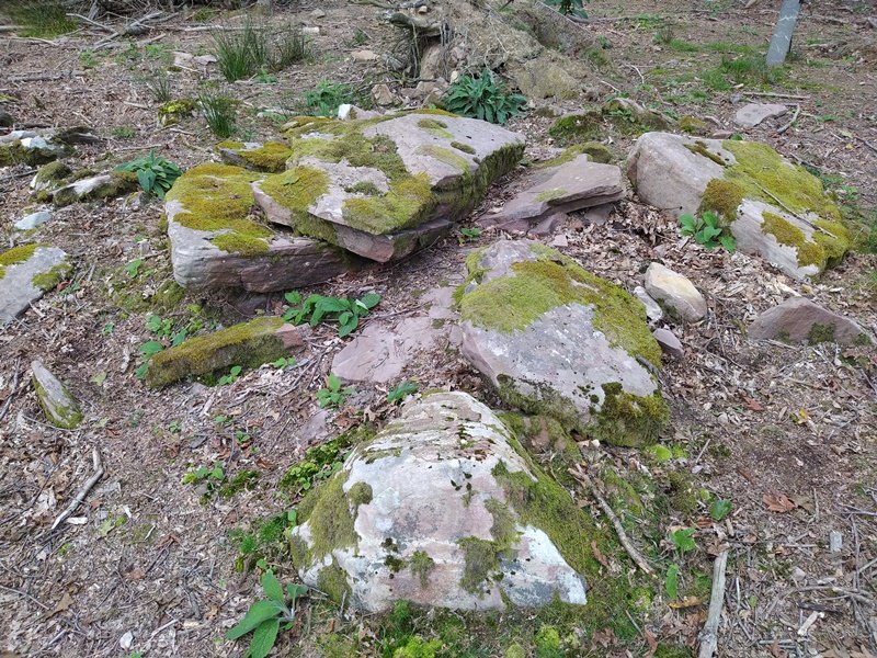 Bistarri Trikuharria