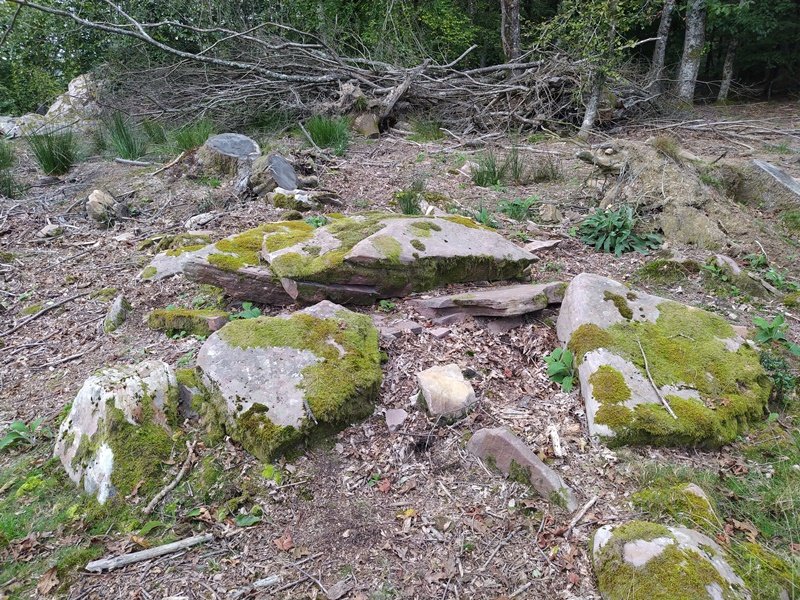 Bistarri Trikuharria