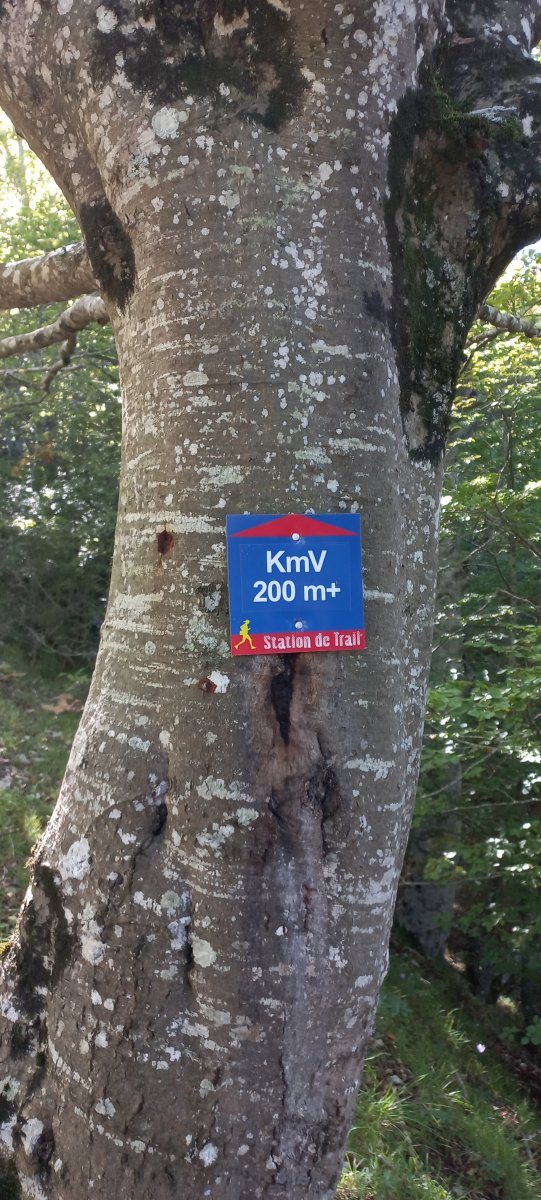 Beriain (1493m) Kilometro Bertikala