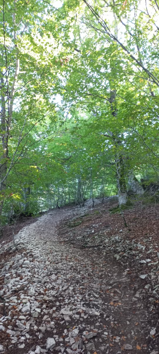 Beriain (1493m) Kilometro Bertikala