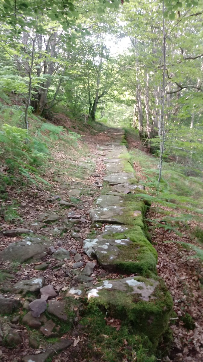 Berdaritzko lepora daraman galtzada