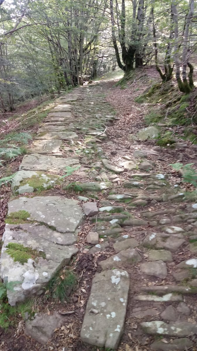 Berdaritzko lepora daraman galtzada