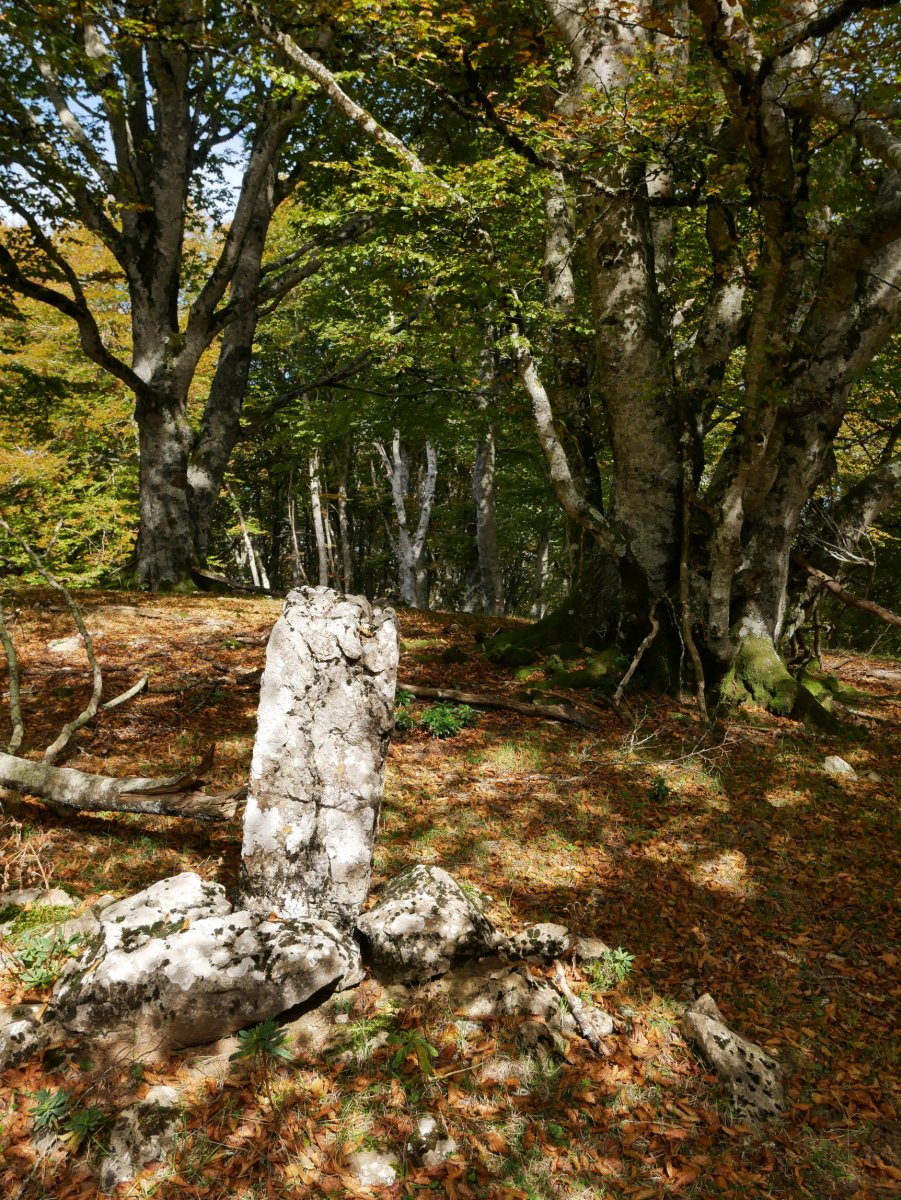 Mugarria hegoaldeko muinoan.