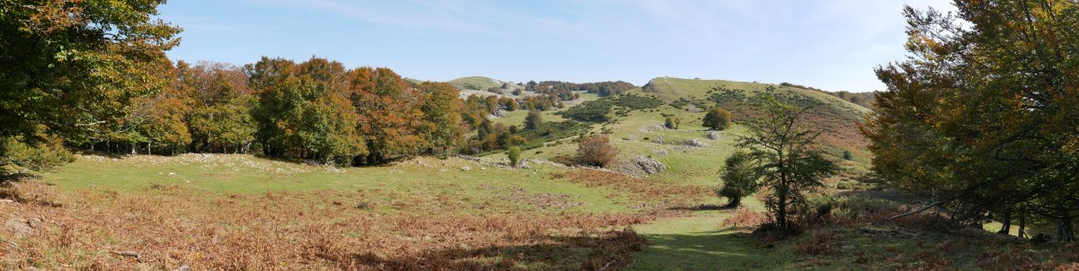 Ekialdera jaisten, Apareingaña aurrez aurre.