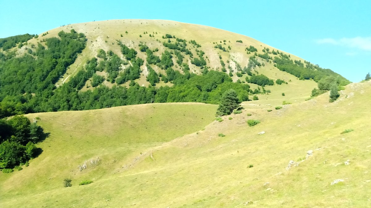 Larrondo (1703) mendia