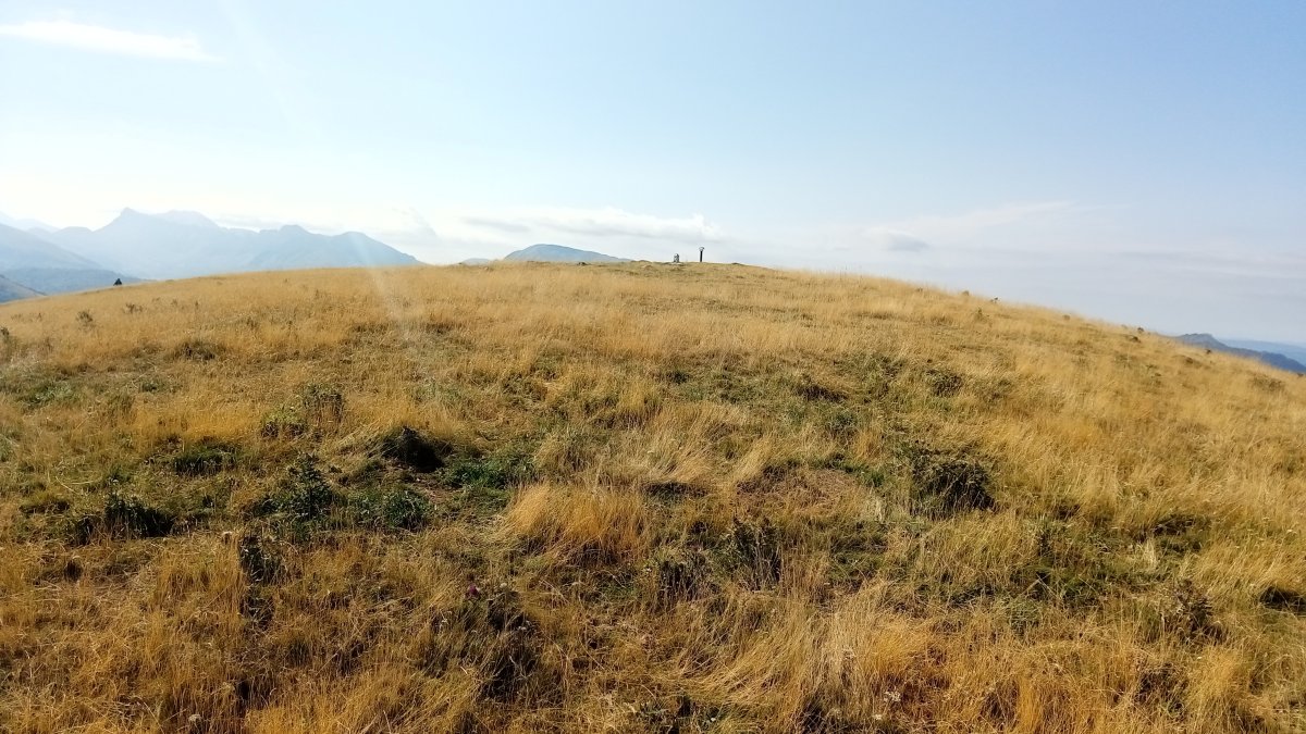 Larrondo (1703) tontorrera iristen