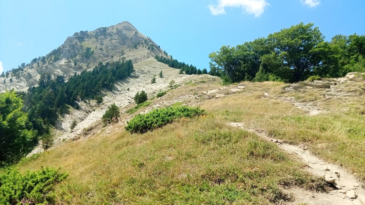 Txamatxoia (1941m) Aztaparreta lepoko sendatik igotzen