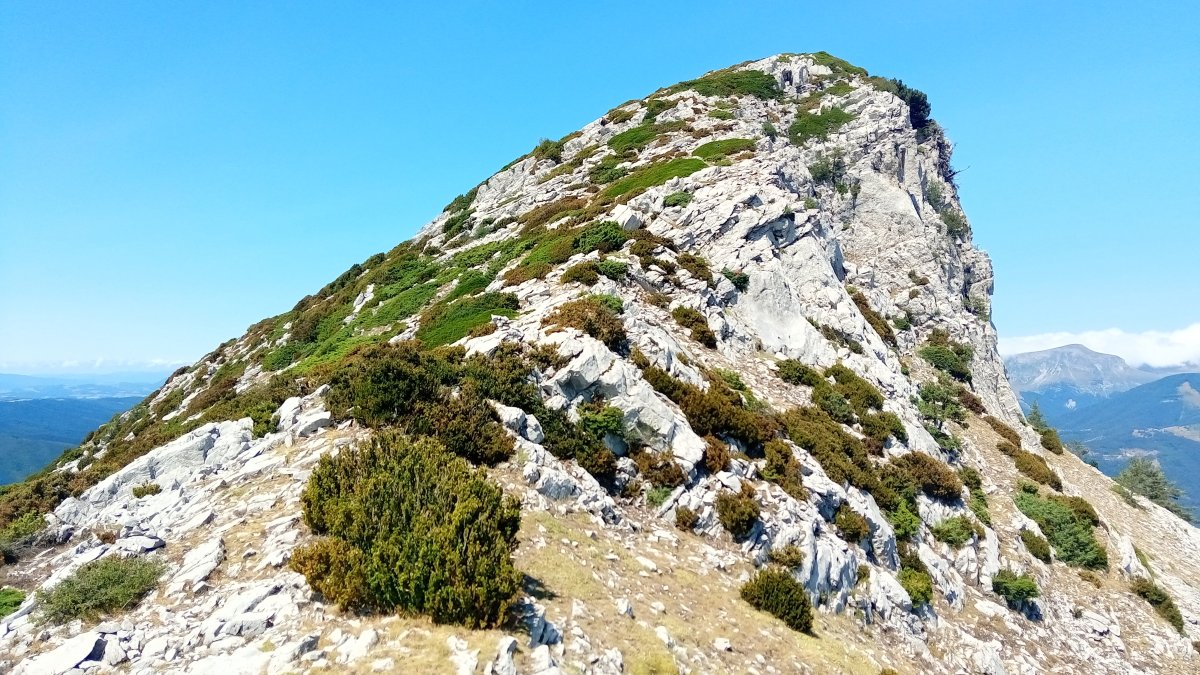 Ezkaurretxikia (1763m) igoerako gandorrean gora