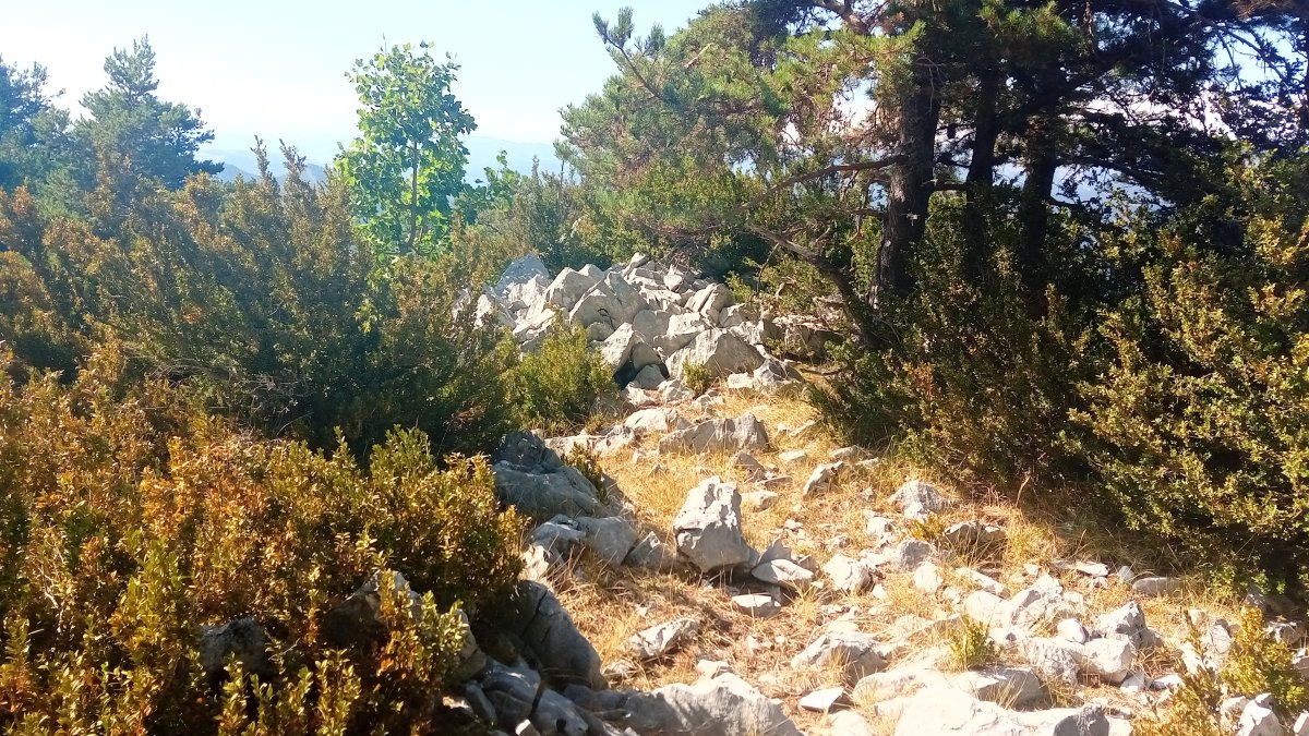 Ezkaiturrea (1498m) tontorra