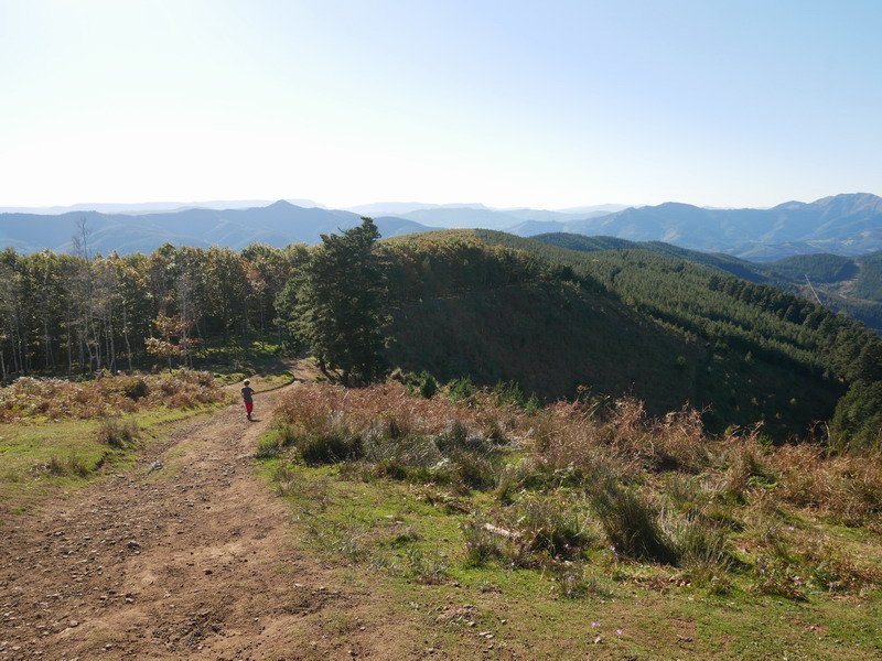 Mandoiaren mendebaldeko bizkarra