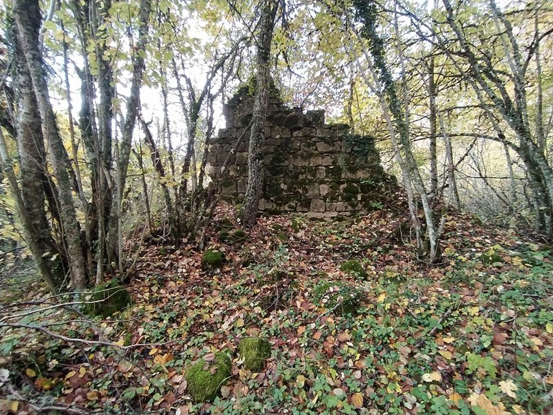 San Martin Elizaren Hondakinak