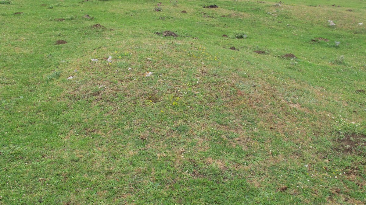 Alto Rincon de Urbasa 1 mendebal tumulua, Urbasa