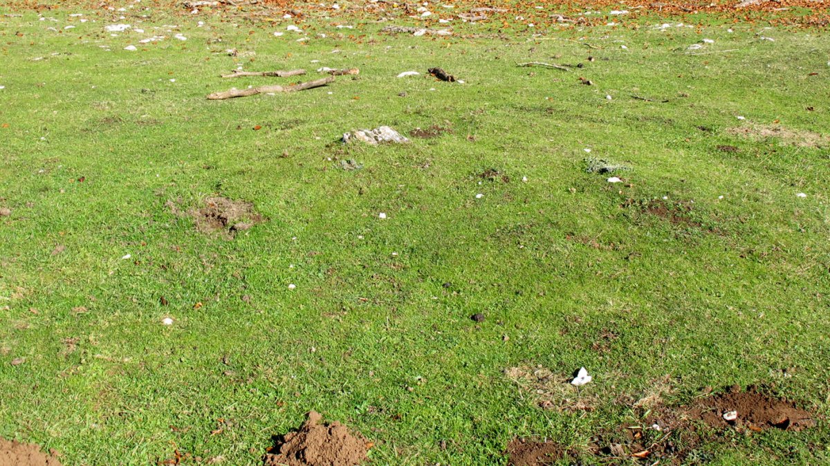 Chabola Ormazabal II tumulua, Ameskoako Limitazioak